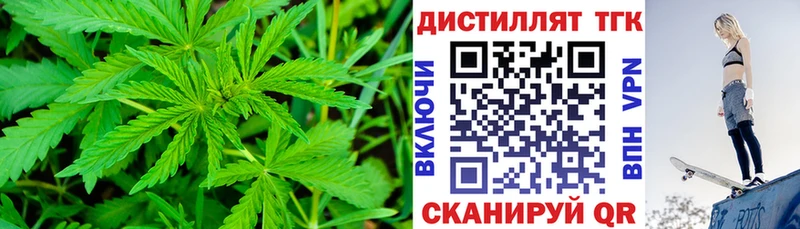 ТГК концентрат  Ленинградская 